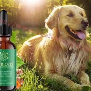 The Ultimate Guide to Proper Pet Probiotic Formula Storage: Ensuring Maximum Benefits for Your Furry Friend