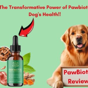 Natural Relief for Itchy Dog Feet: Unlocking the Power of Nature