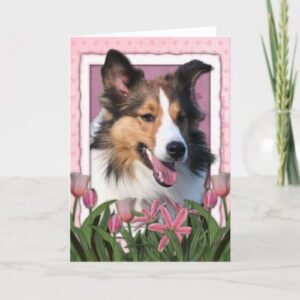 Our Exclusive Mother’s Day Card Featuring Pink Tulips and the Playful Sheltie