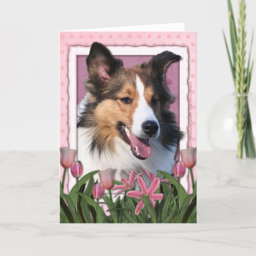 mothers_day_pink_tulips_sheltie_card-rb74c1700423143a0ac631b6312c0870a_udff0_500.jpg