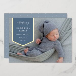 Celebrate Your New Arrival: Customize a Foil Banner Overlay for a Unique Photo Birth Announcement